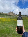 Bouteille 0.75l Huile de Tournesol Vierge France bio*C/R