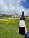 Bouteille 0.75l Vinaigre de Vin Rouge France bio*C/R